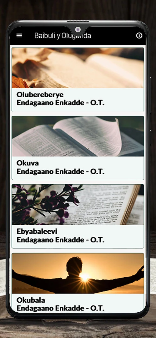 Baibuli y'Oluganda Luganda screenshot